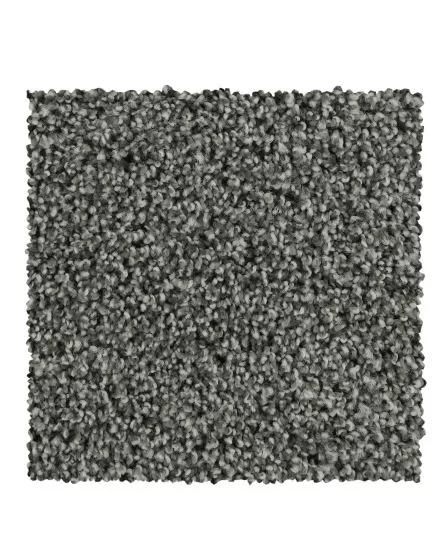 Graceful Intrigue Textured 50oz Carpet