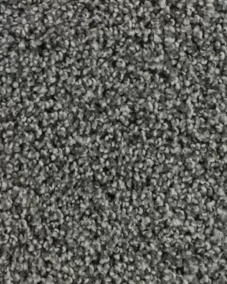 Graceful Intrigue Textured 50oz Carpet