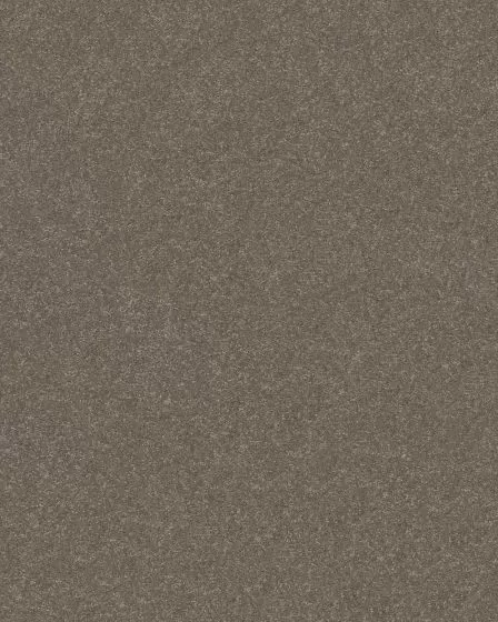 Hard At Play II Cobblestone Carpet