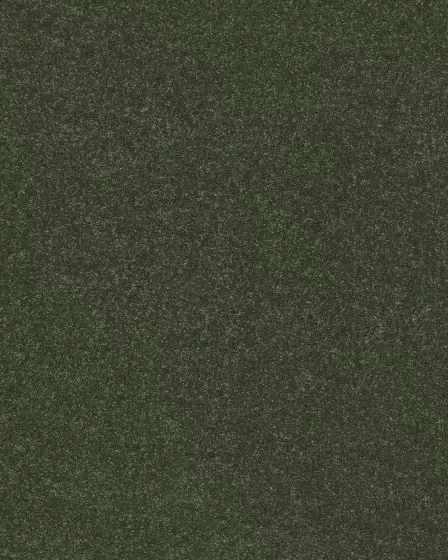 Hard At Play I Rerooted Nature Carpet