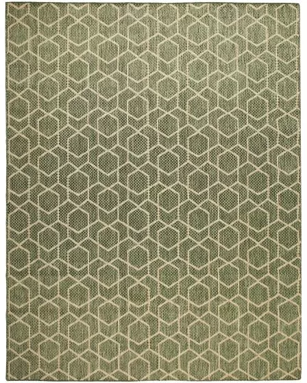 Horizon Indoor/Outdoor HOZ01 Green 10'x14' Area Rug