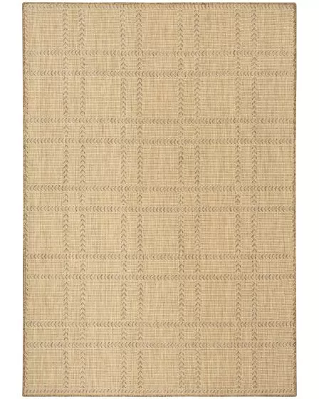 Horizon Indoor/Outdoor HOZ04 Natural 4'x6' Area Rug