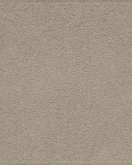 Hypnotic Attraction SmartStrand Carpet