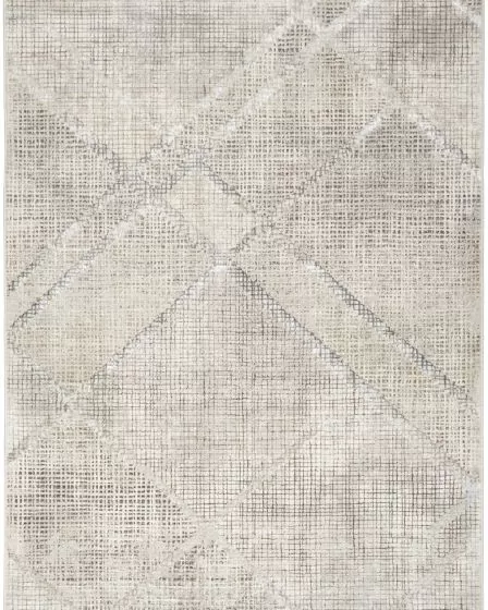 Iliana ILI03 Grey Area Rug