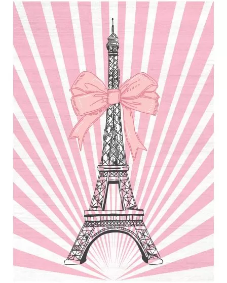 Imagination IMA17 Pink Area Rug