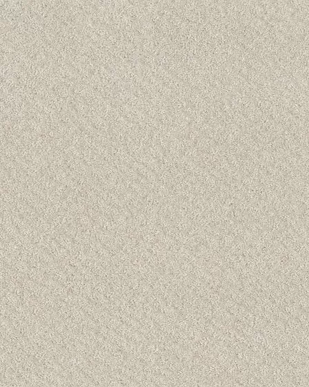 In Style Patterned 34oz Carpet
