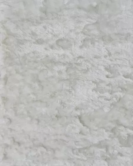 Indochine 4550F White 2'x3'4" Area Rug