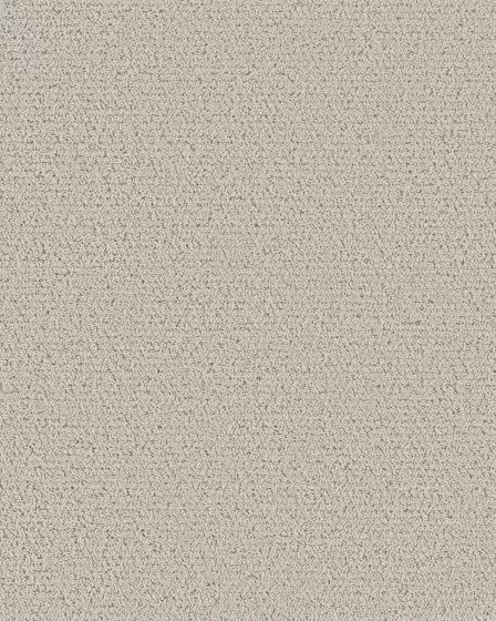 Intricate Trace Pet Friendly 43oz Carpet