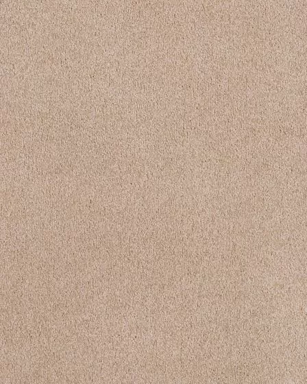 Island Mood Textured Nylon Carpet
