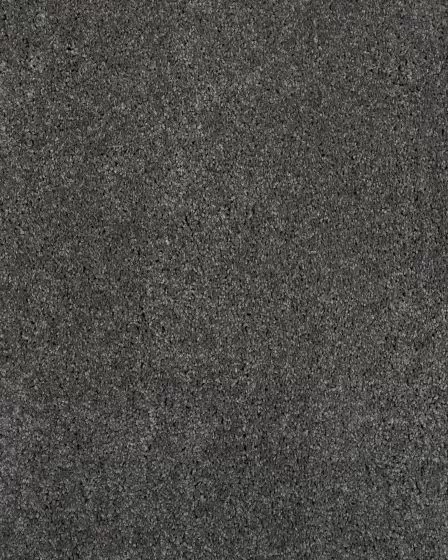 Impressive Character Boardwalk Carpet