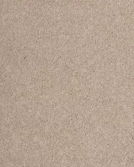 Maison Luxe Ash Carpet