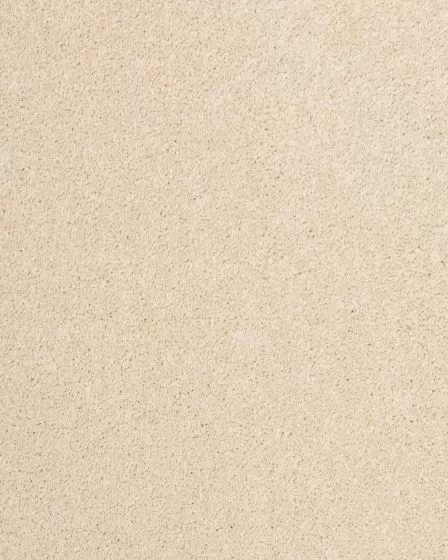 Maison Luxe Bone Carpet