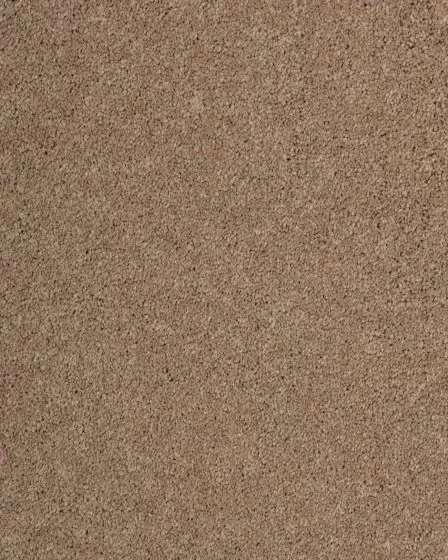 Maison Luxe Cafe Carpet