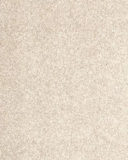 Maison Luxe Champaign Carpet