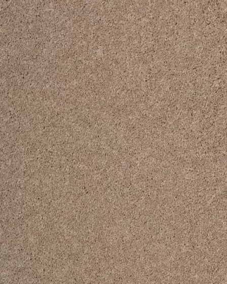 Maison Luxe Taupe Carpet