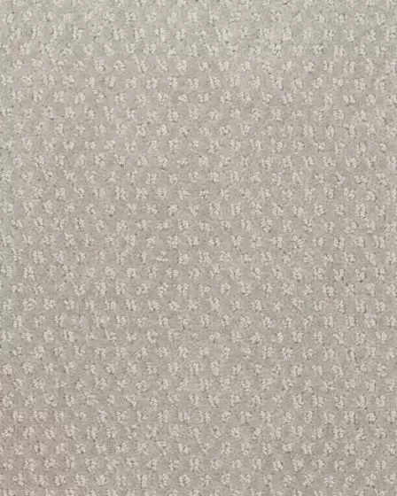Greenwich Style Smartstrand 48oz Carpet
