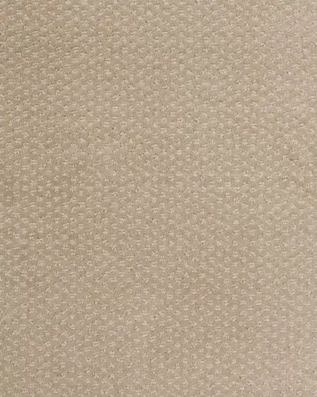 Greenwich Style Birch Carpet