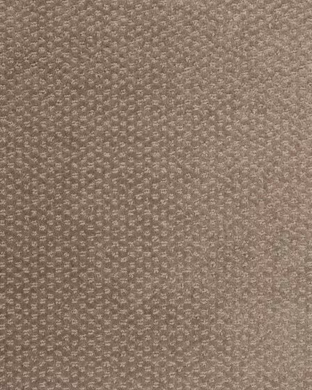 Greenwich Style Fox Carpet