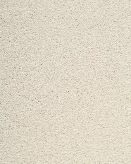 Delightful Intent SmartStrand 42oz Carpet