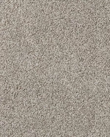 Salinas Valley I Bonita Textured 40oz SmartStrand Carpet