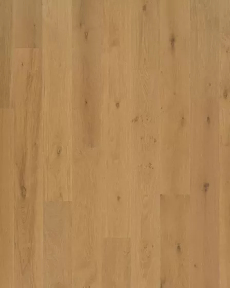 The Gault Estate Norwich Honey Oak 8.5" Hardwood