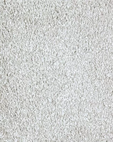 Lavish Approach Textured SmartStrand Carpet