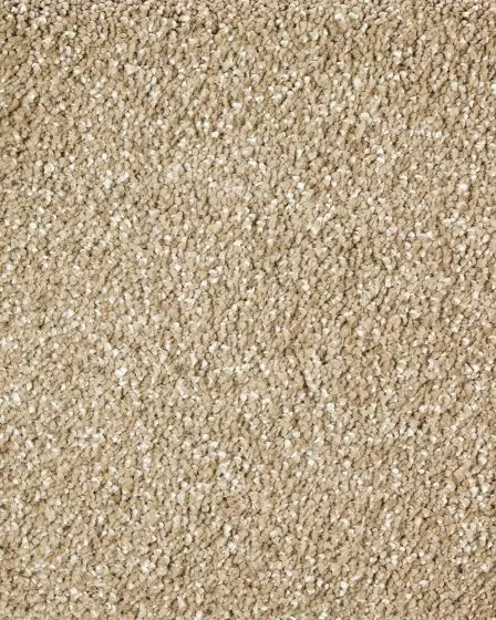 Lavish Luxury Timeless Carpet