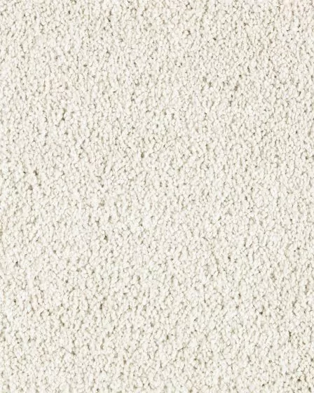 Lavish Touch Fine Silk Carpet