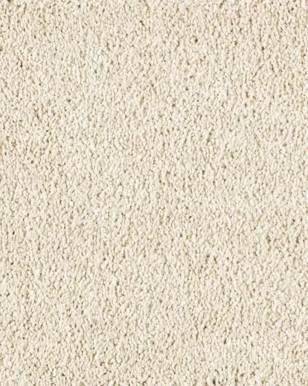 Lavish Touch Ivory Luster Carpet