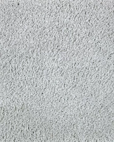 Lavish Touch Textured SmartStrand Carpet