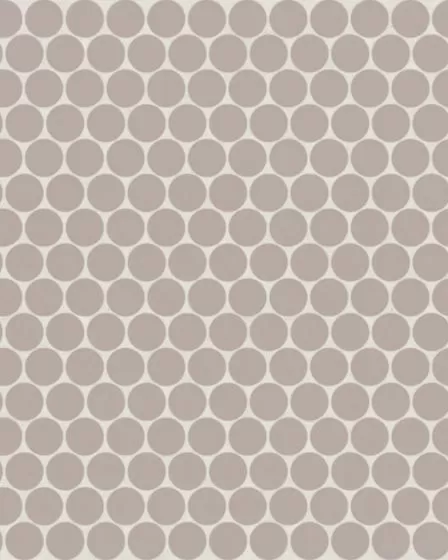 Marin Coastal Cliff Matte Porcelain 3/4" Penny Mosaic Tile