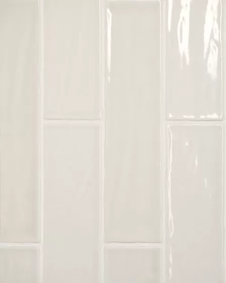 Marin Sand Dollar Glossy Glazed Ceramic 2.5"x10" Wall Tile