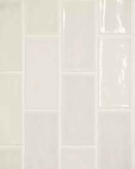 Marin Sand Dollar Glossy Glazed Ceramic 2.5"x5" Wall Tile