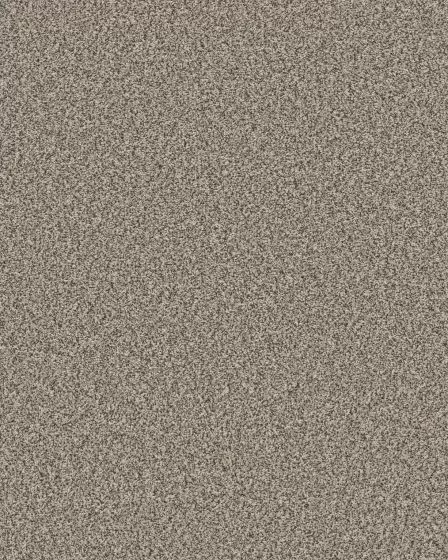 Mirador Textured 73oz Carpet