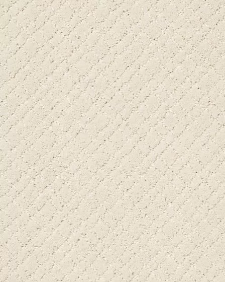 Mosaic Patterned Nylon Carpet