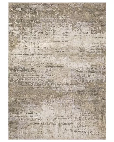 Nebulous 1h Beige/Grey Area Rug
