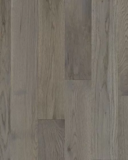 Natural Forest Oak 4" Winter Neutral Hardwood