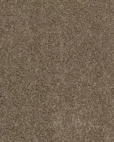 Glamourous Charm II Textured Carpet