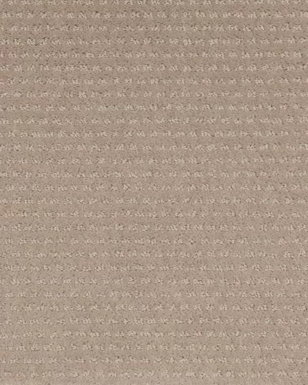 Luxurious Moment Patterned SmartStrand Carpet
