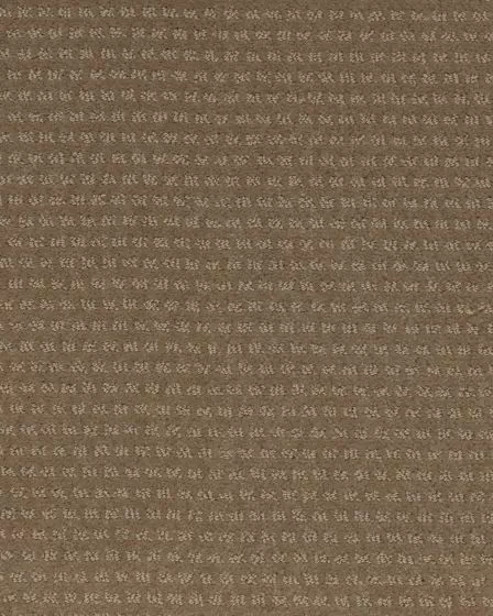 Luxurious Moment Worn Leather Carpet