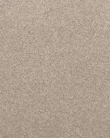 Willow Creek Textured SmartStrand 40oz Carpet