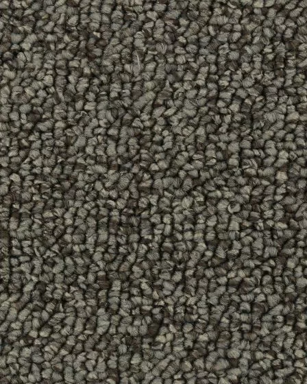 True Distinction EverStrand Carpet