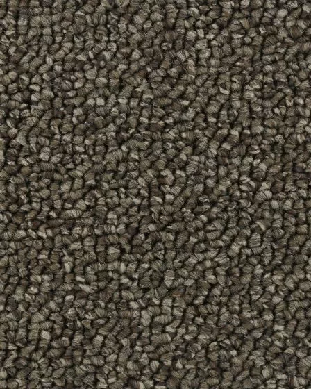 True Distinction Perfect Taupe Carpet