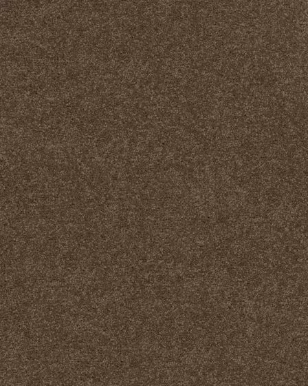 Trail Creek Textured Nylon 34oz Carpet