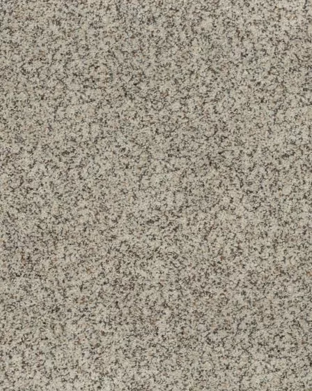Natural Restoration Textured 60oz Carpet