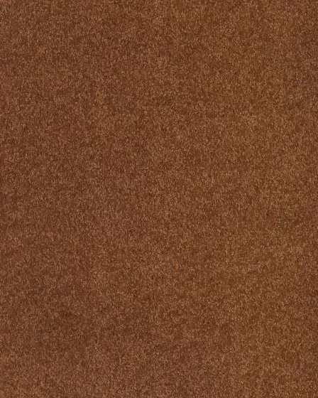 Opulent Tradition Apricot Jam Carpet