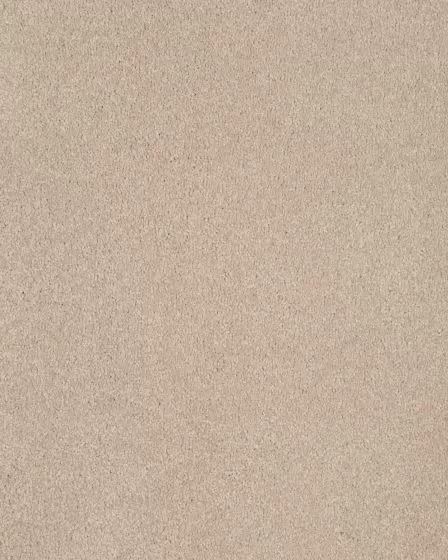 Opulent Tradition Beach House Carpet