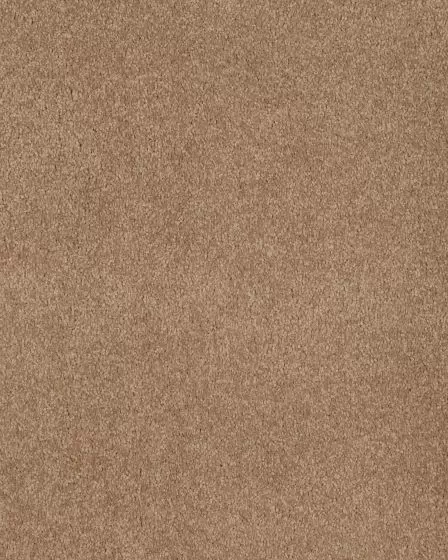 Opulent Tradition Contempo Carpet