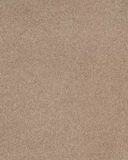 Opulent Tradition Cozy Corner Carpet