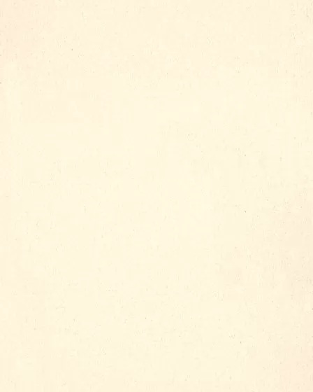 Opulent Tradition Destiny Carpet